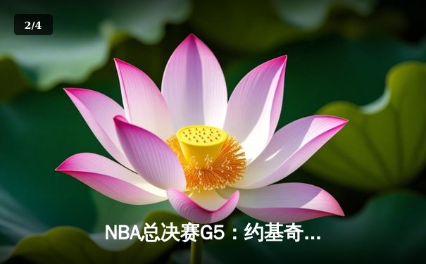 NBA总决赛G5：约基奇三双力挽狂澜，掘金险胜热火夺赛点 - 2